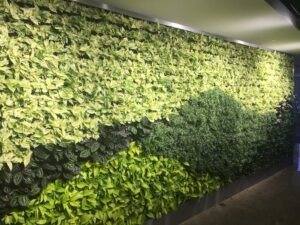 دیوار سبز سالنی